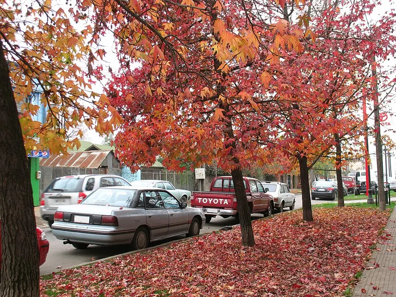 1990 Subaru Legacy